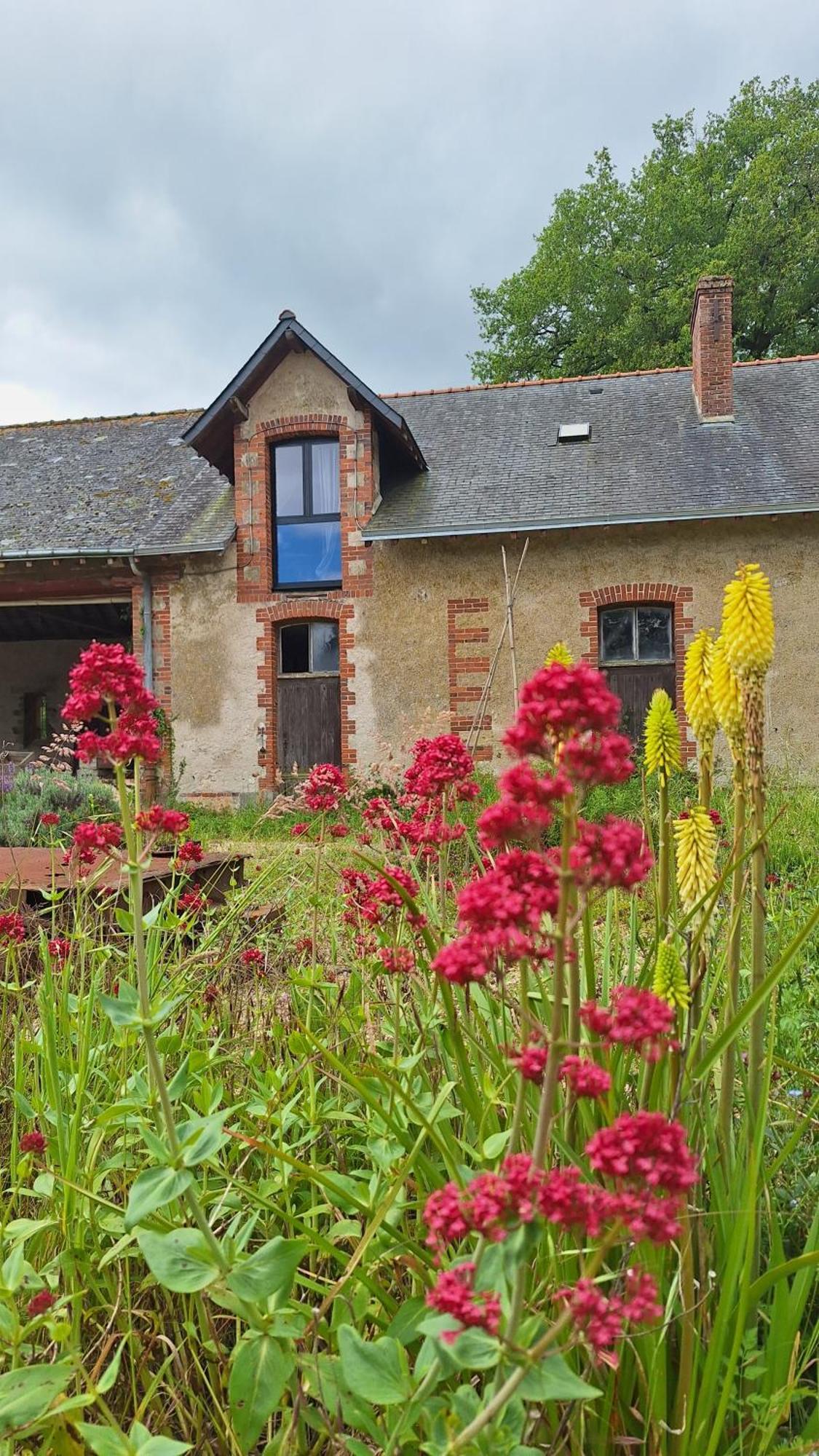 Ecolodges De Loire & Spa Gennes-Val-de-Loire Exterior photo